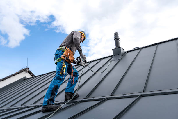 Best Roof Moss and Algae Removal  in Roanoke, IN
