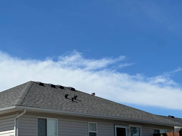 Best Flat Roofing  in Roanoke, IN